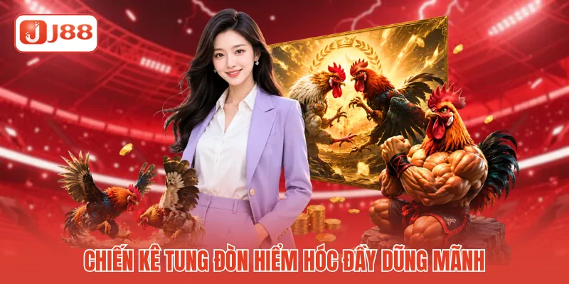 Chiến kê tung đòn hiểm hóc đầy dũng mãnh Chiến kê tung đòn hiểm hóc đầy dũng mãnh