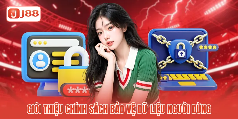 Giới thiệu chính sách bảo vệ dữ liệu người dùng Giới thiệu chính sách bảo vệ dữ liệu người dùng