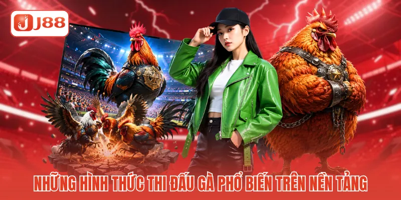 Những hình thức thi đấu gà phổ biến trên nền tảng Những hình thức thi đấu gà phổ biến trên nền tảng